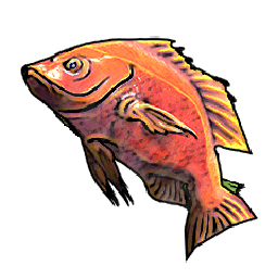 Red Snapper