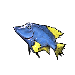 Blue Tang