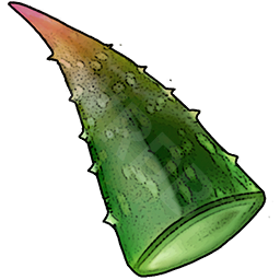 Aloe Leaf