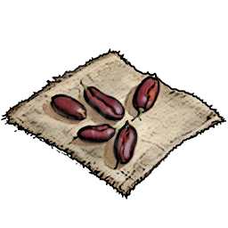 Bean Seeds