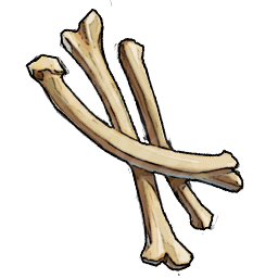 Bones