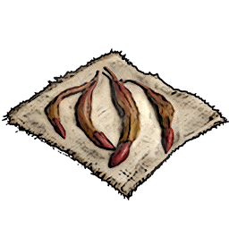 Bromeliad Seeds