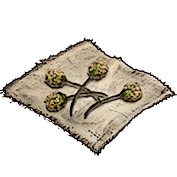 Shrub Seeds