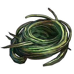 Plant Fiber