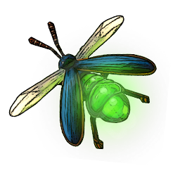 Firefly