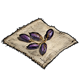 Healing Herb Seeds