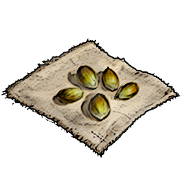 Lime Seeds