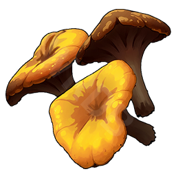 Lobster Mushroom
