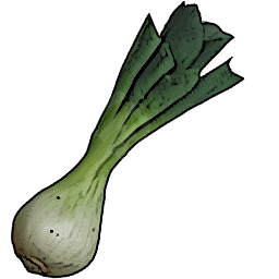 Leek