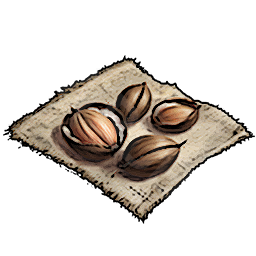 Palm Seeds