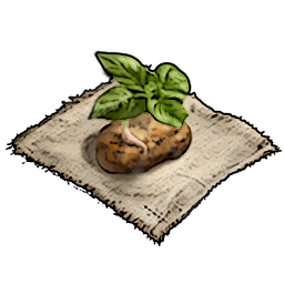 Sweet Potato Seeds