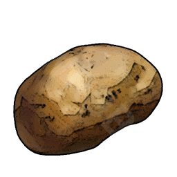 Sweet Potato