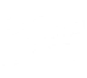 Brethren of the Coast Trade Goods Merchant