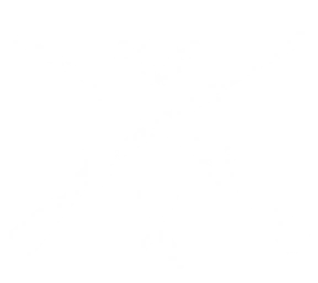 Rogue Buccaneers Buyer