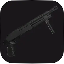 MSBG 500