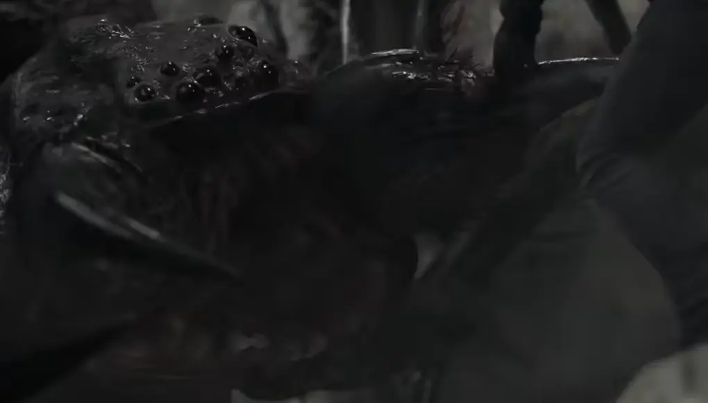 RE9-The-TumorMonster