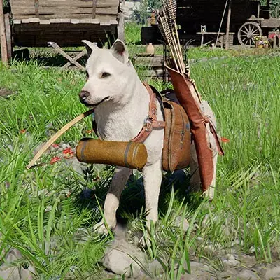 crimson-desert-dog