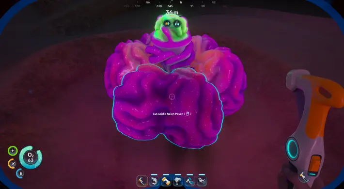 Acid Raion
