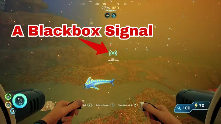 Blackbox Signal