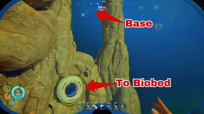 Cliff Base
