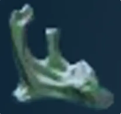 Conduit Crystal