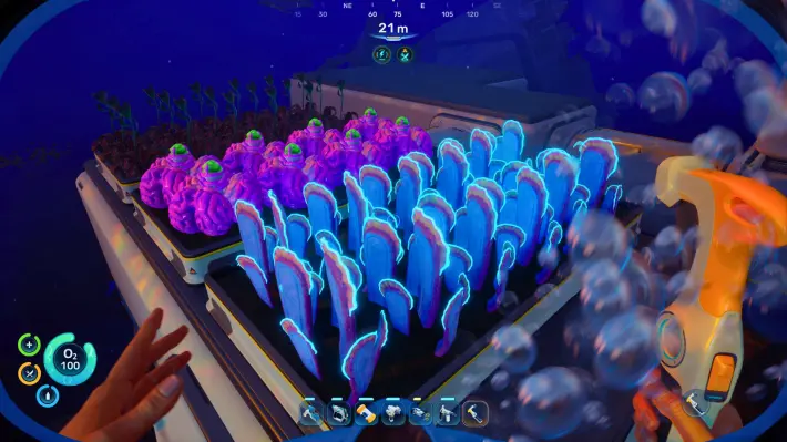 Fibrous Pulp Farm
