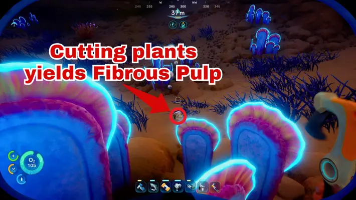 Fibrous Pulp