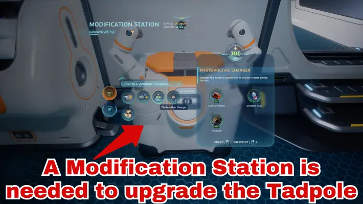 Best Tadpole Upgrades