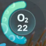 Oxygen Meter