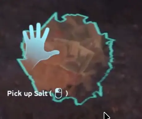 Salt