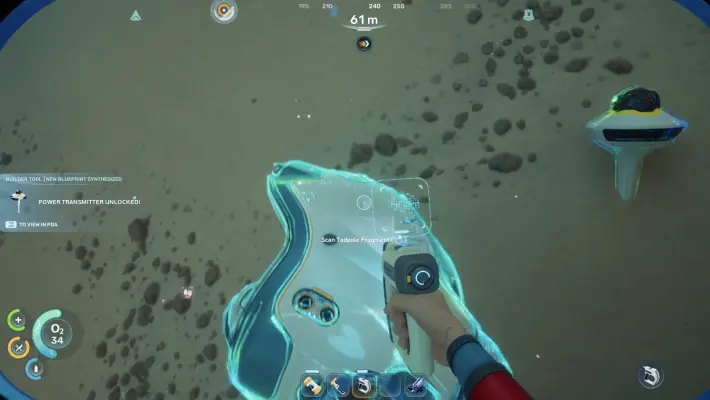 Tadpole Fragments