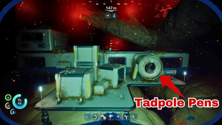 Tadpole Pens