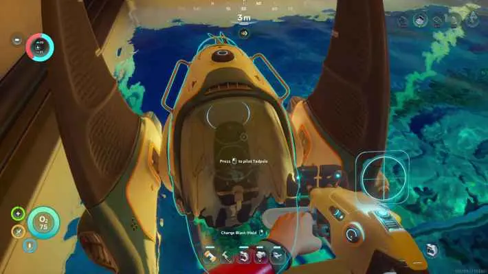 Tadpole