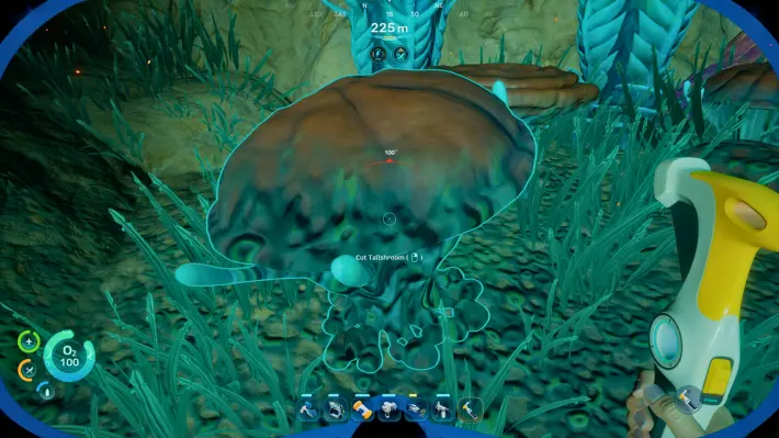 Tallshroom