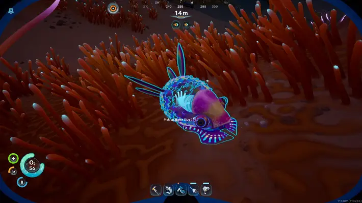 Water Slug Glow