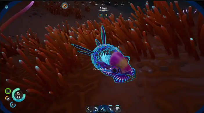Water Slugs
