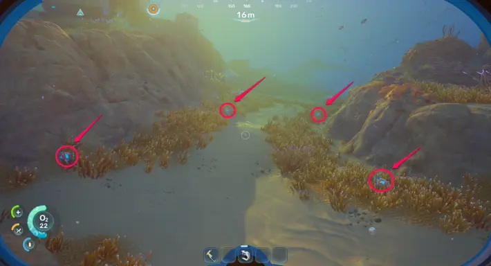 Water Slugs