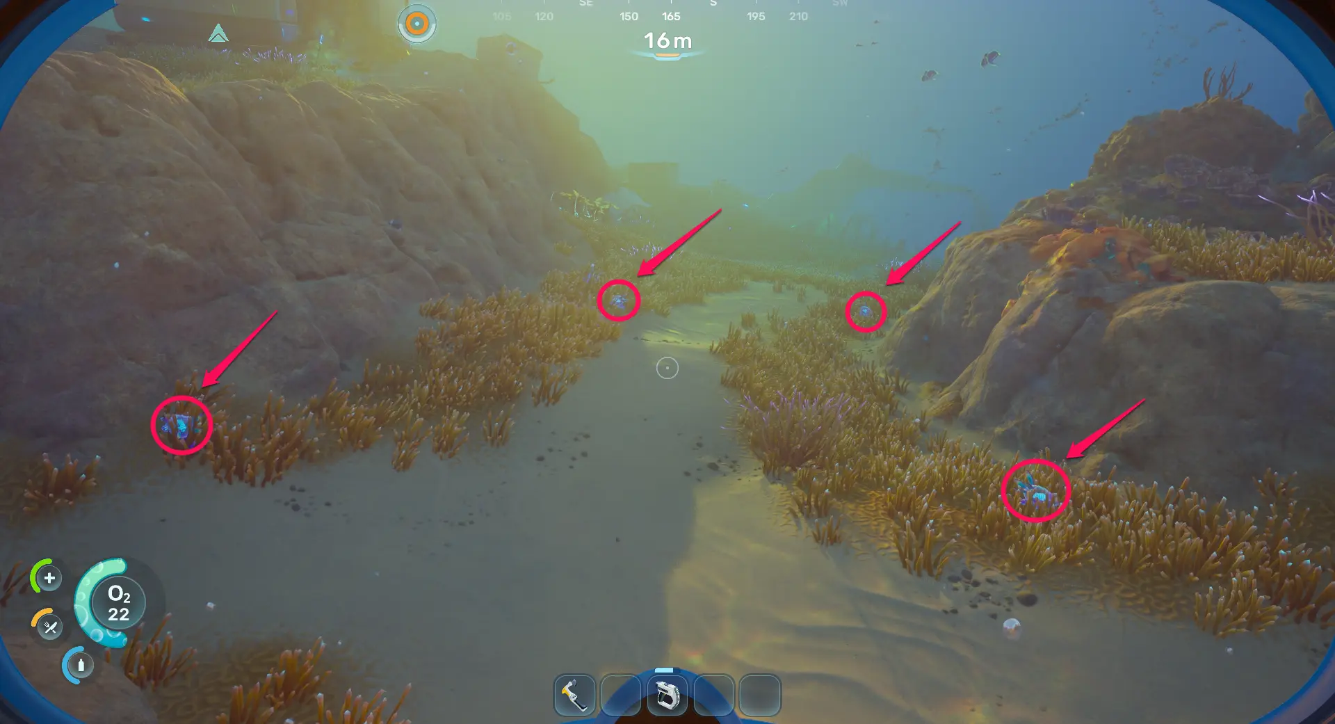 Water Slugs Location