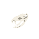 Slay the Spire 2 Snecko Skull relic - Silent common