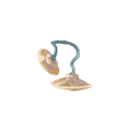 Slay the Spire 2 Tingsha relic - Silent rare